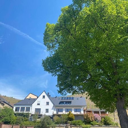 Chateau-De-La-Moselle Kinheim Εξωτερικό φωτογραφία