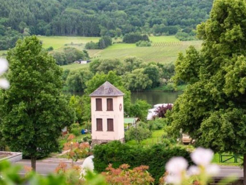 Chateau-De-La-Moselle Kinheim Εξωτερικό φωτογραφία