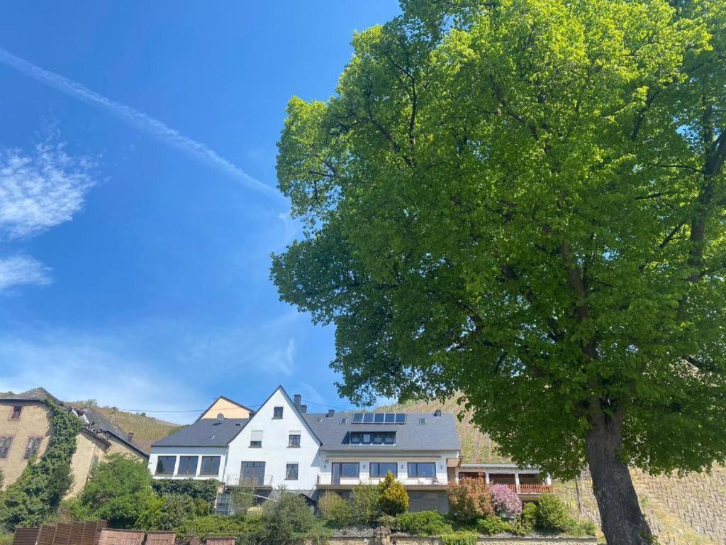Chateau-De-La-Moselle Kinheim Εξωτερικό φωτογραφία